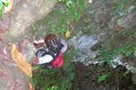Samal extreme sports -Mountain Climbing