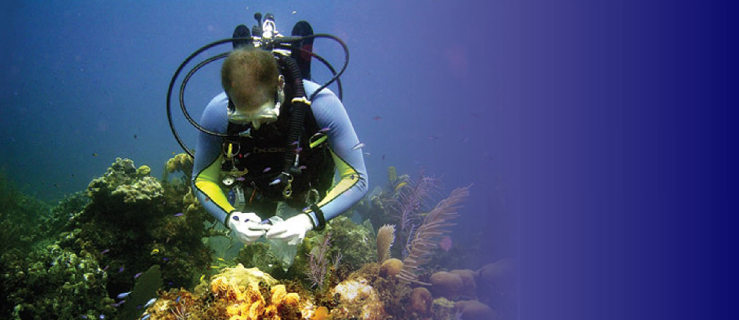 Samal Island header picture