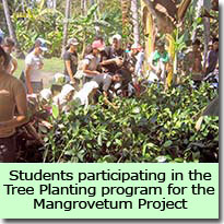 Mangrovetum Project