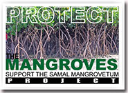 Mangrovetum Project, Samal Island