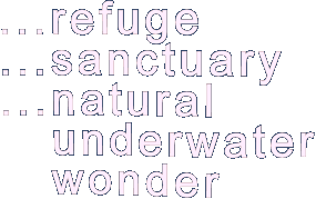 Samal island refuge