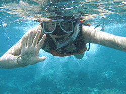 activities you can do in Samal